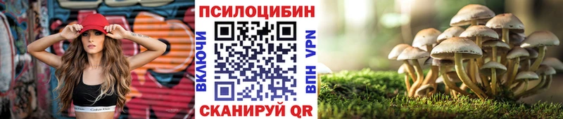 Псилоцибиновые грибы MAGIC MUSHROOMS  shop Telegram  Лукоянов  дарнет шоп 